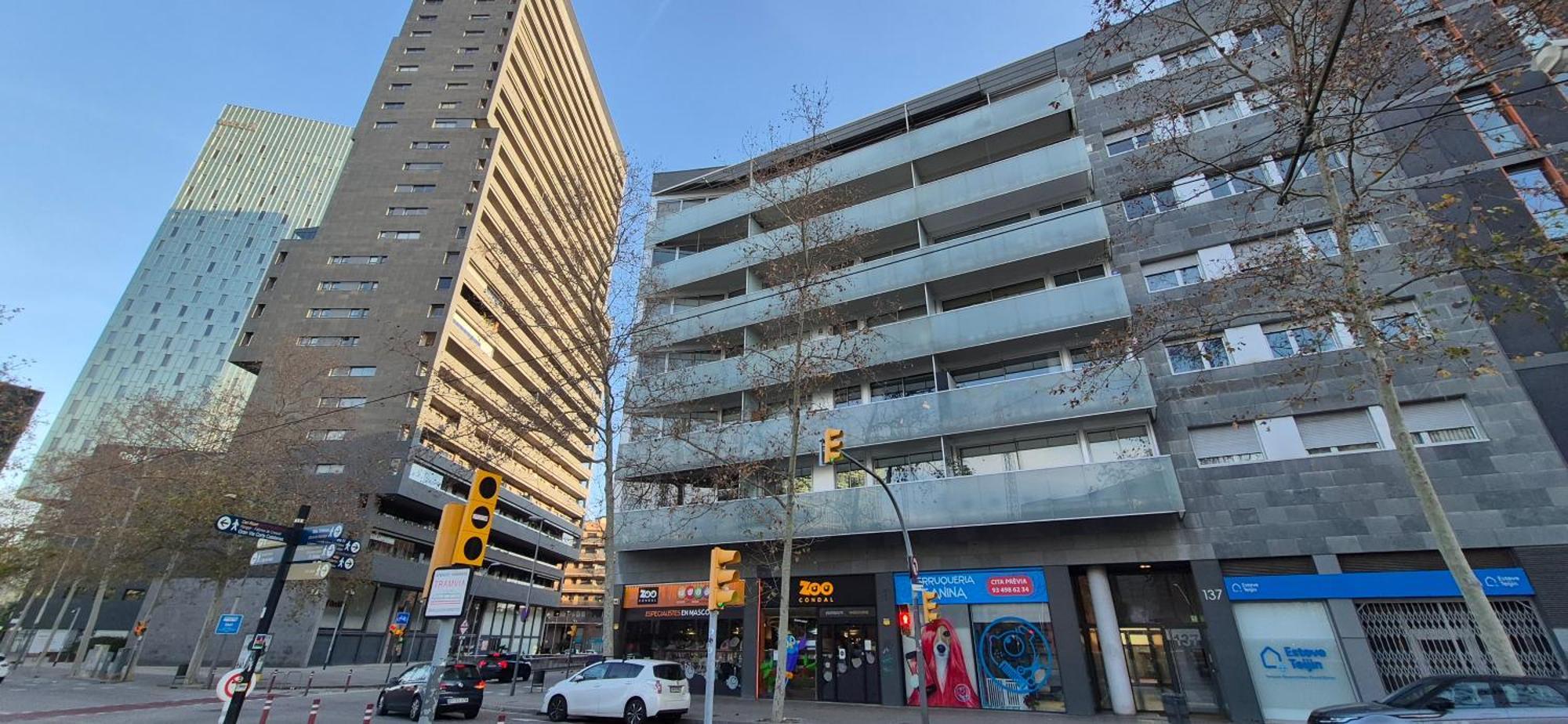 Apartamento En Avenida Diagonal - Torre Glorias - Angeles Terraza Barcelona Buitenkant foto